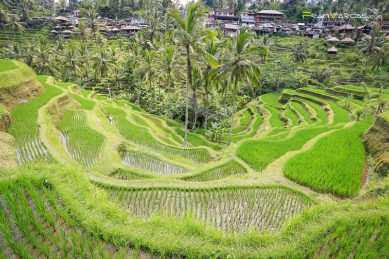 Bali en Imágenes por Fran Vargas Photography