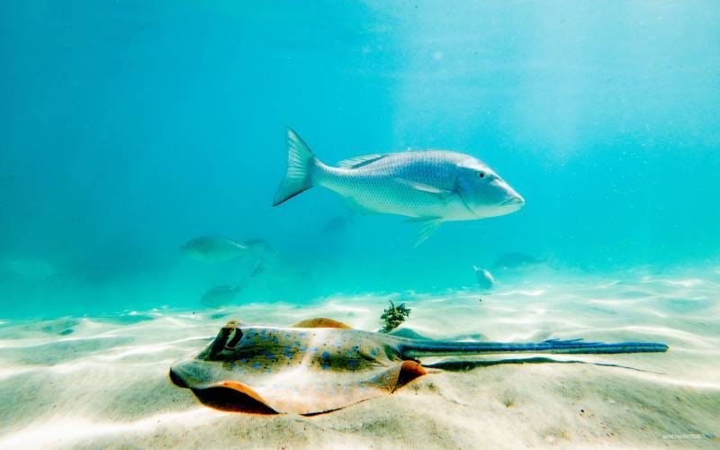 Coral Bay Ruta Western Australia