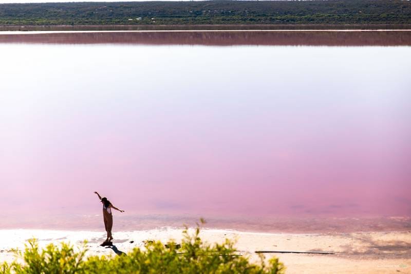 visitar lago rosa Western Australia