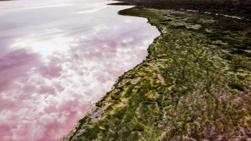 visitar pink lake en wester australia