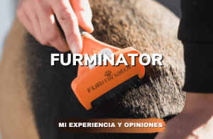 Furminator Mi experiencia y opiniones