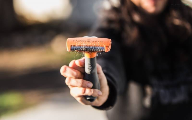 Furminator, Mi experiencia y opiniones