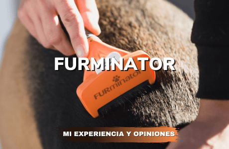 Furminator Mi experiencia y opiniones