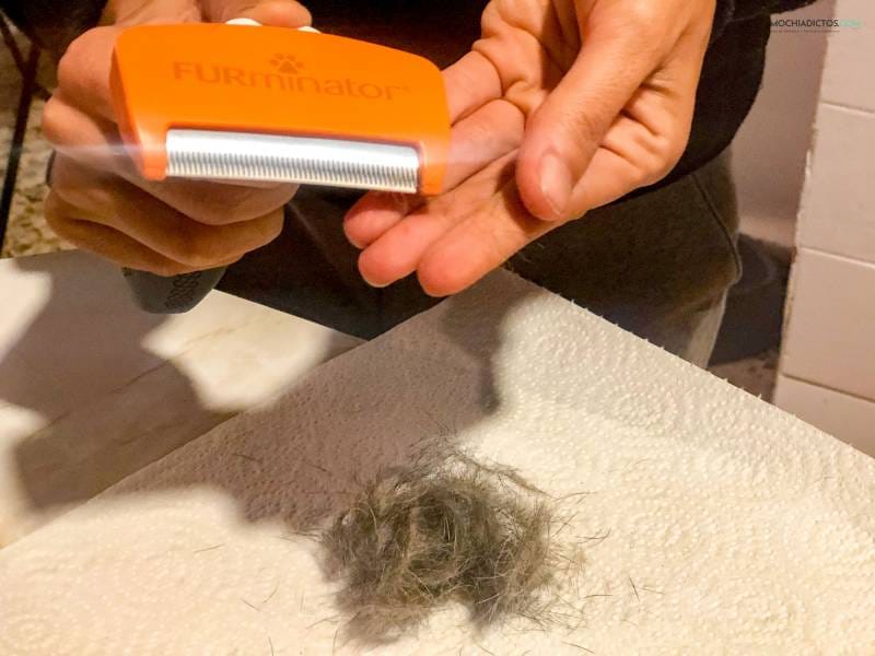 como usar Furminator para perros