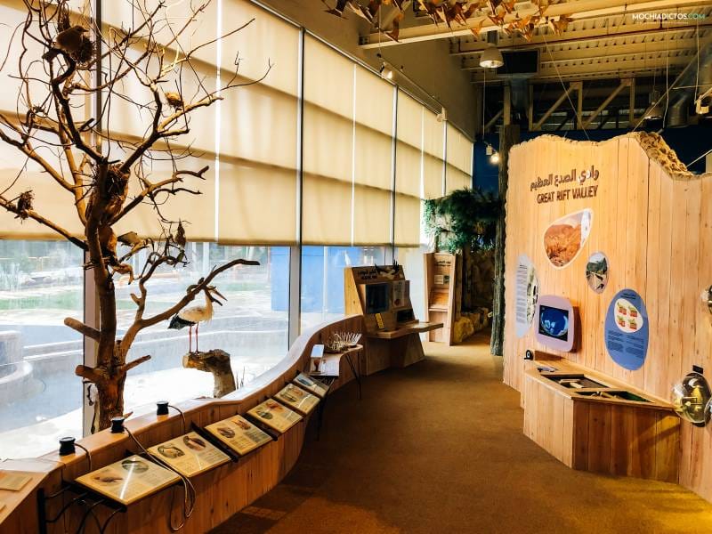 Museo niños Amman