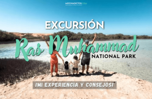 Excursión al Parque Nacional Ras Muhammad