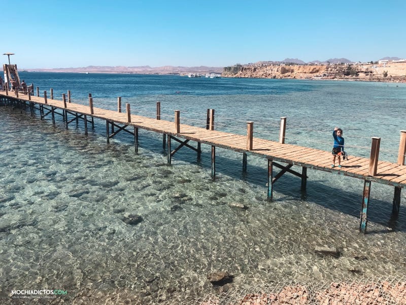 Sharm El Sheikh El Fanar con niños