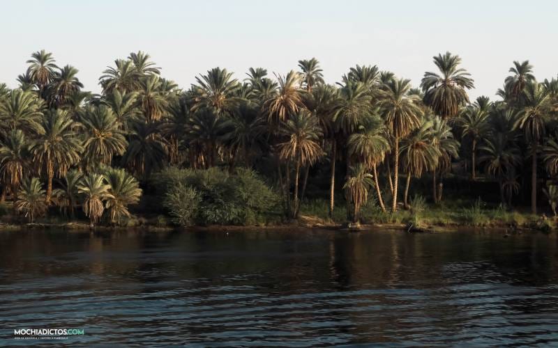 Vistas crucero por el nilo egipto
