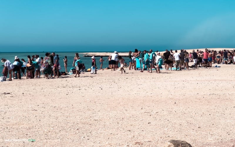 porque NO hacer la excursión a Ras Muhammad por tierra en autobús
