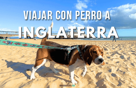 Viajar con perro a Inglaterra