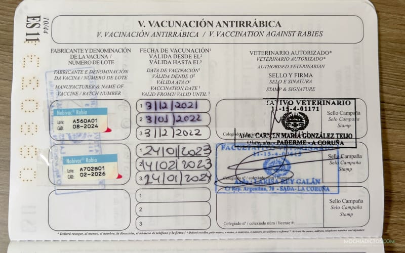 Viajar con perro a Reino Unido, vacuna antirrábica