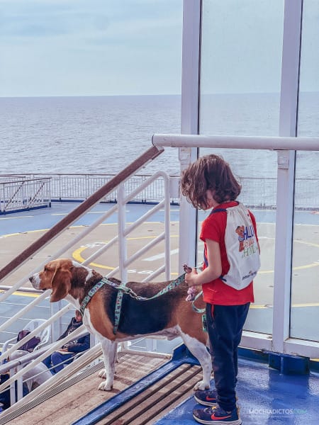 Viajar con perro en ferry a Reino Unido zonas habilitadas