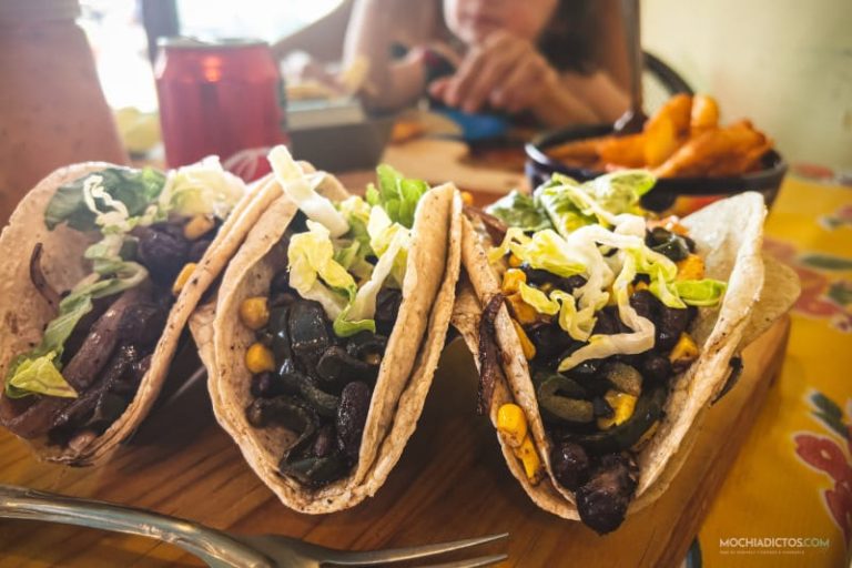 Donde comer bien en cozumel con niños