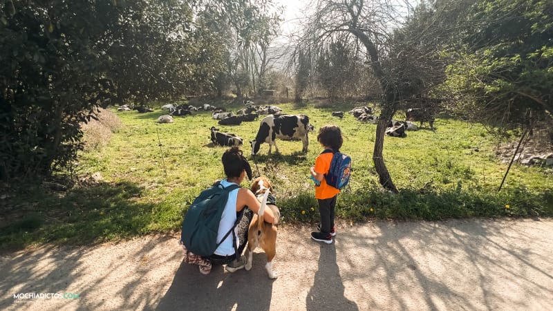 asturias con niños