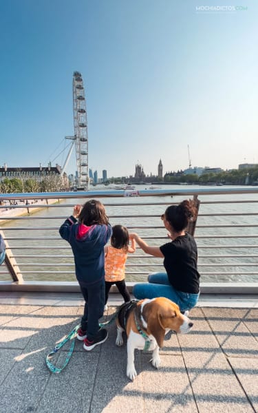 Planes Londres London Eye