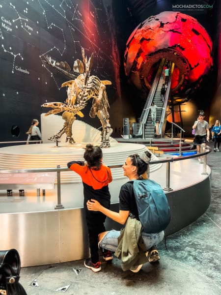 Museo historia natural Londres con niños