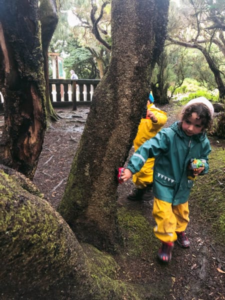 Planes familiares en naturaleza en tenerife