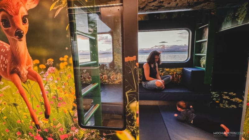 Parque en el vagon familiar del tren de Stavanger a OSlo