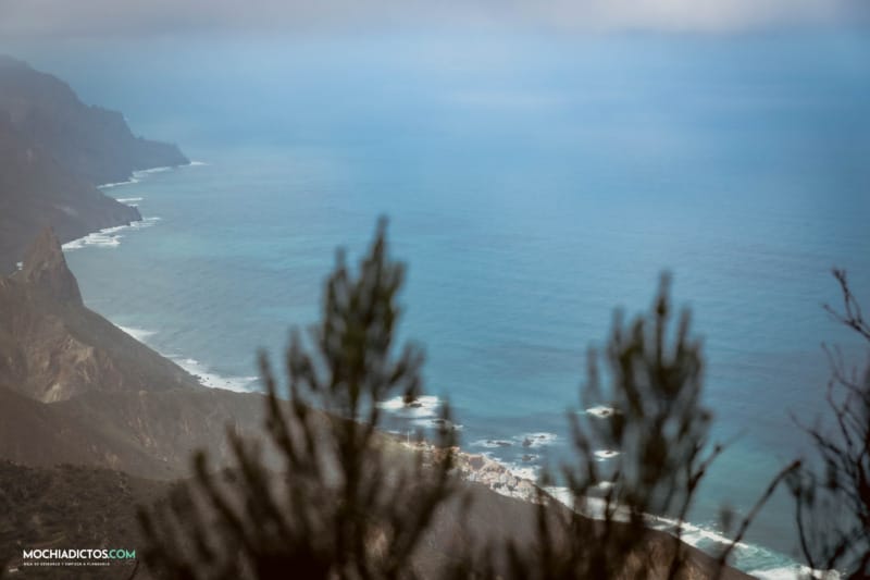 Vistas a la costa caminata bosque encantado