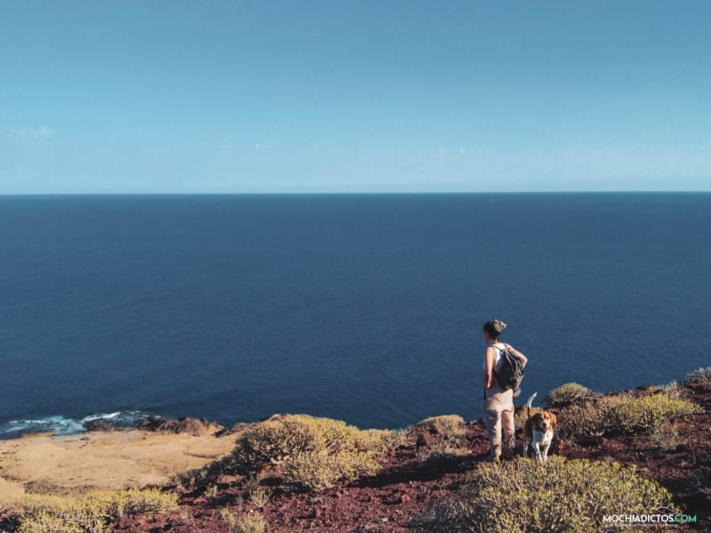 vistas desde Montaña roja el medano tenerife