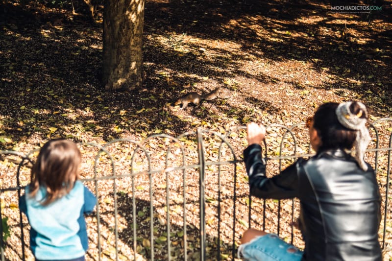 planes gratis Londres con niños