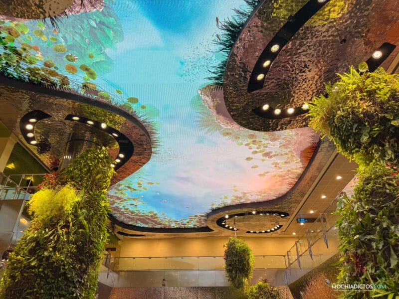 Cielo digital en Dreamscape en la Terminal 2