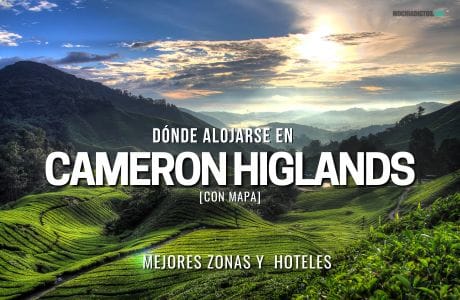 donde alojarse en Cameron Highlands