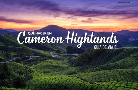 que hacer en Cameron Highlands guia viaje por libre