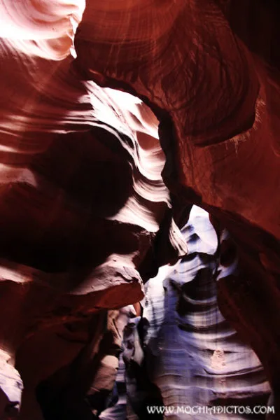 Fran vargas Photography