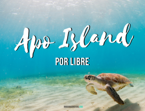 Nadando con Tortugas en Apo Island, Filipinas