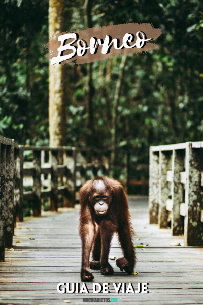 Borneo guia de viaje.