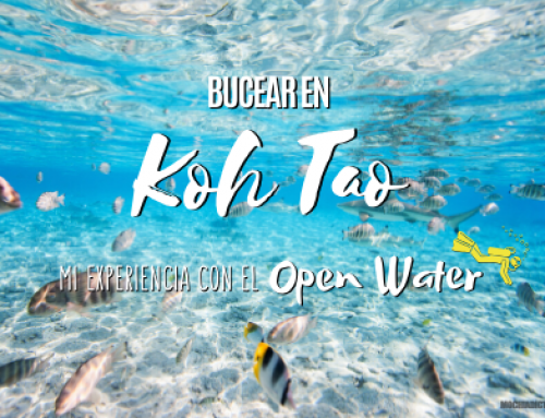 Bucear en Koh Tao: Mi experiencia con el Open Water y consejos.