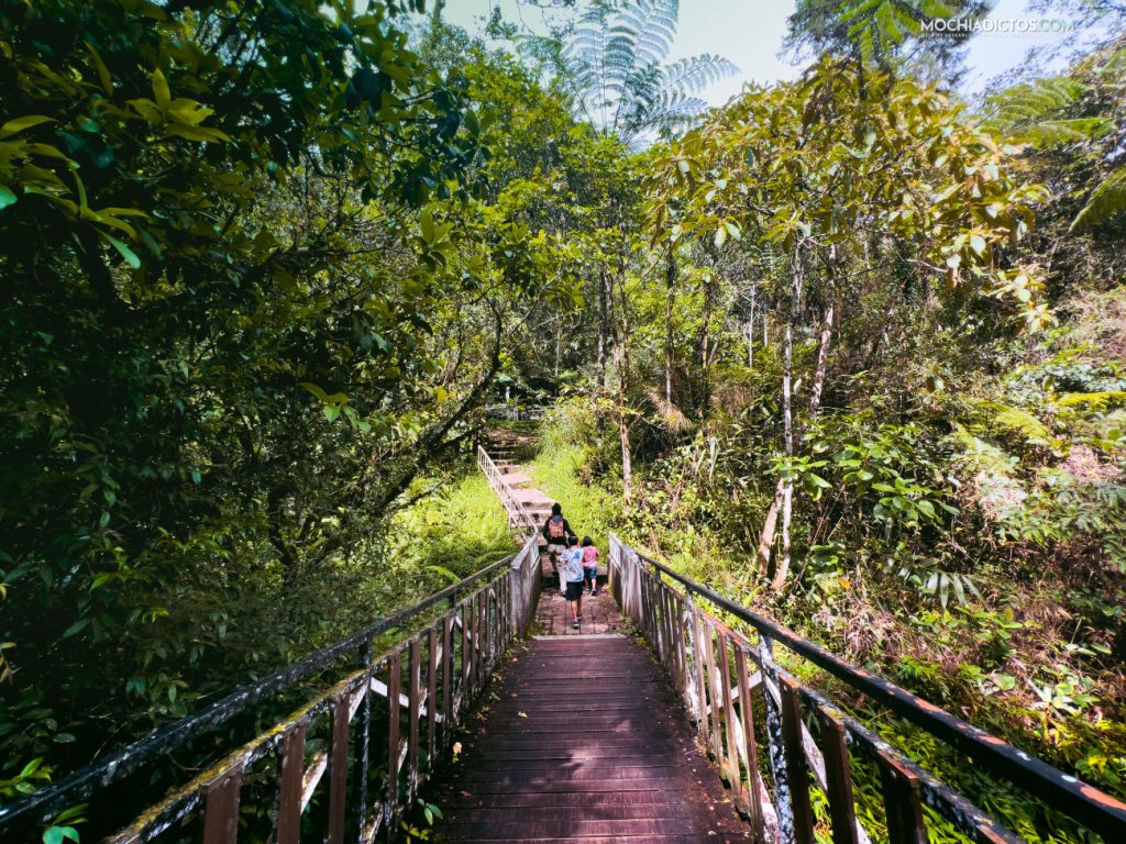 Caminatas que hacer en Tanah Rata