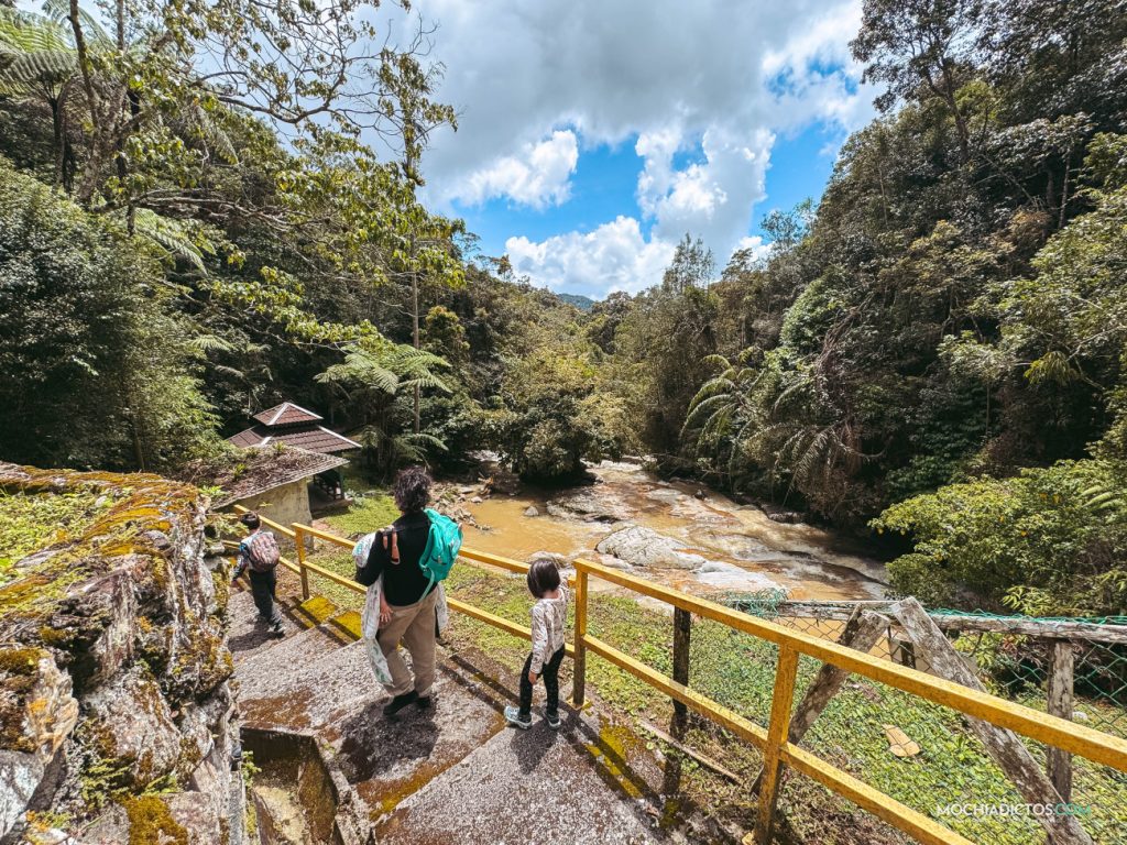 Caminatas sencillas que hacer en Cameron Highlands