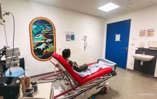 Cómo funciona Iati Seguros