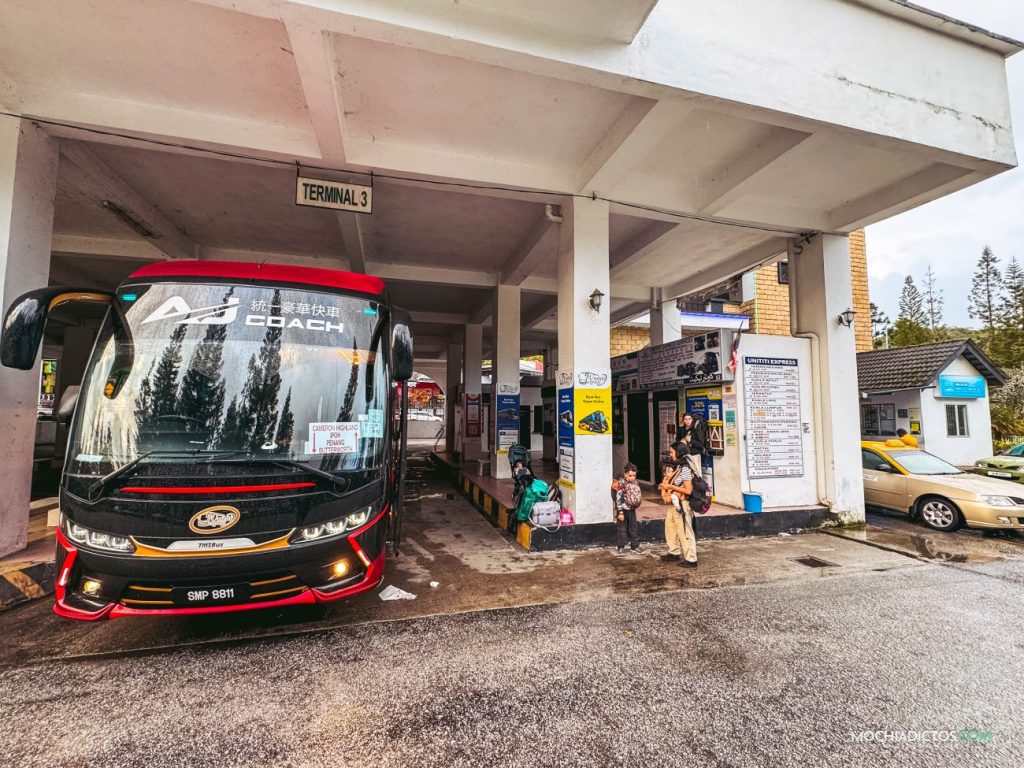 Como llegar a Cameron Highlands por libre