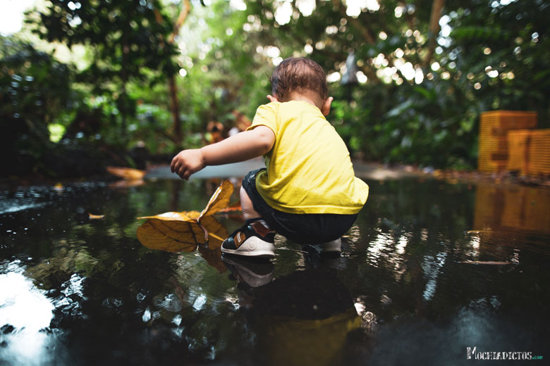 Que hacer en Singapur con niños