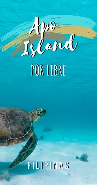 Cómo llegar a Apo Island