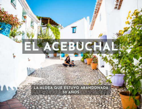 8 datos que te gustará saber al visitar El Acebuchal, Málaga.