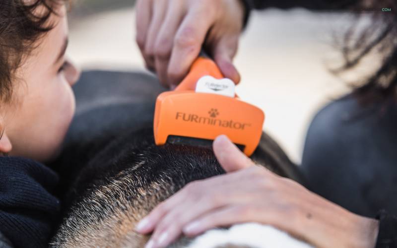 FURminator, eliminar caida del pelo de perro