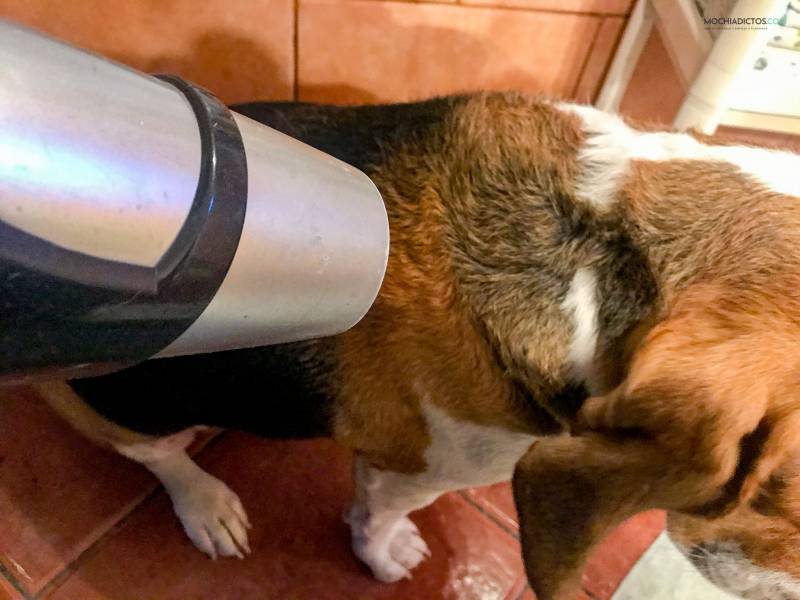 FURminator, mejor cepillo para perros