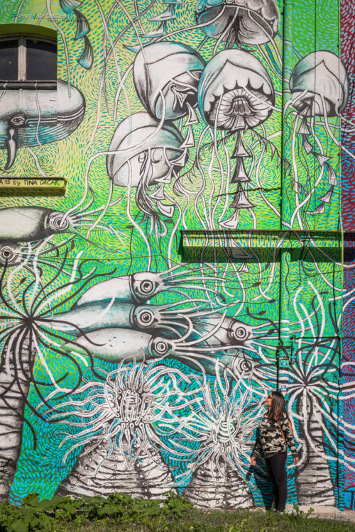 que hacer en Liubliana