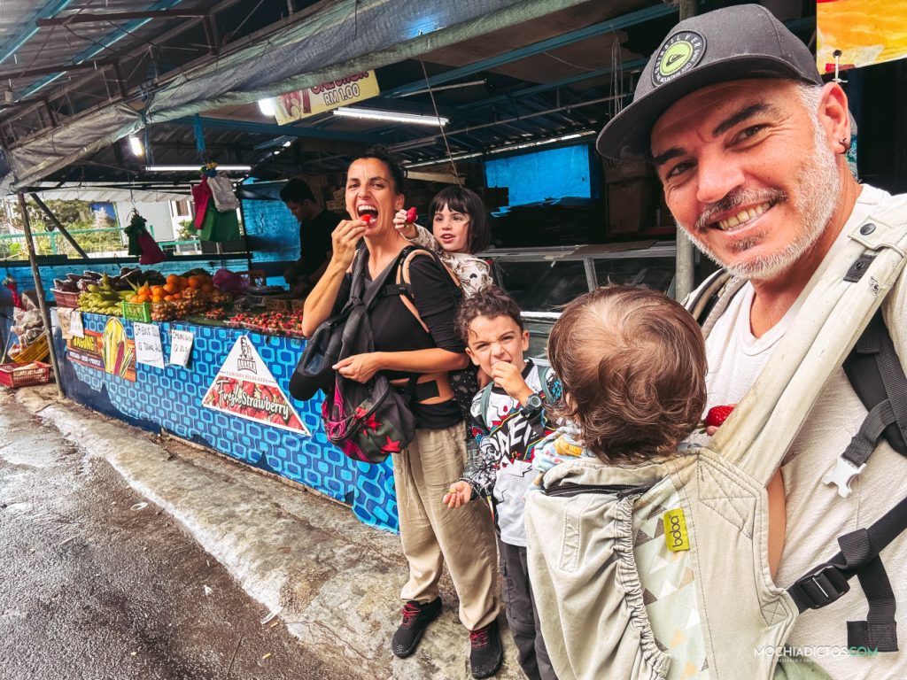 Fresas en Cameron Highlands