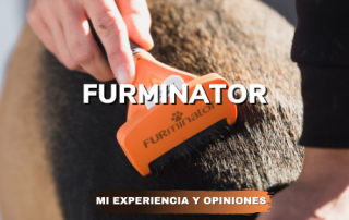Furminator Mi experiencia y opiniones