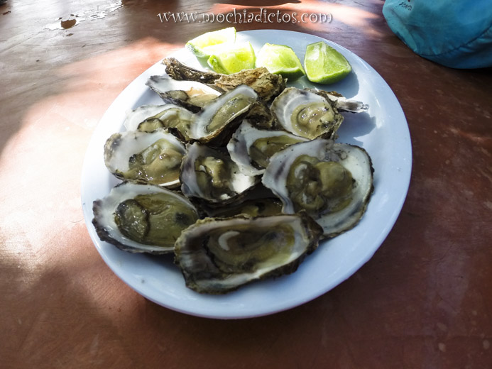 Parque Nacional Haitises