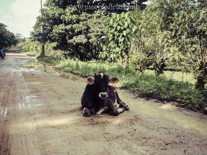 Ruta Parque Nacional Haitises