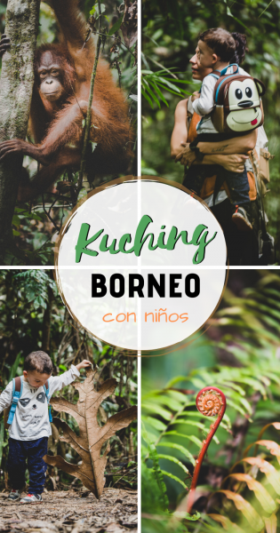 Kuching Borneo con niños, Pinterest