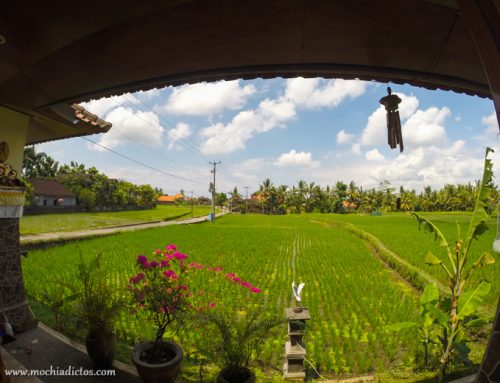 Donde dormir en Ubud, la ciudad de Come Reza Ama