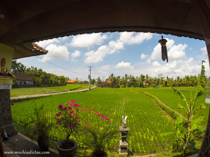 Donde dormir en Ubud