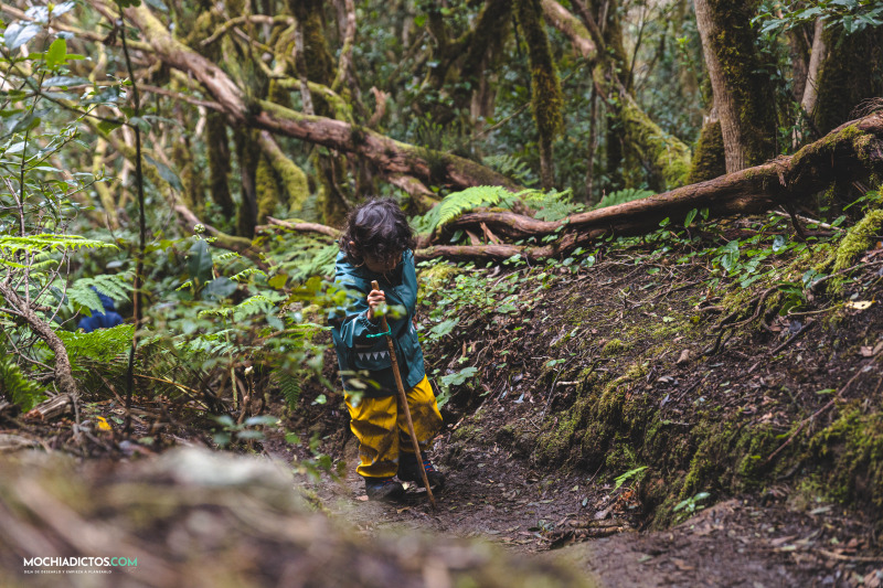 Parque nacional anaga tenerife